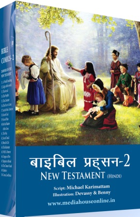 Bible Comics (50 books set in Hindi)