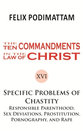 The Ten Commandments in the Law of Christ (16 Specific Problem of Chastity II)
