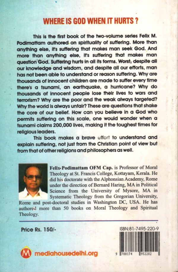 Where is God When it Hurts? Spirituality of Suffering-1 - Image 2